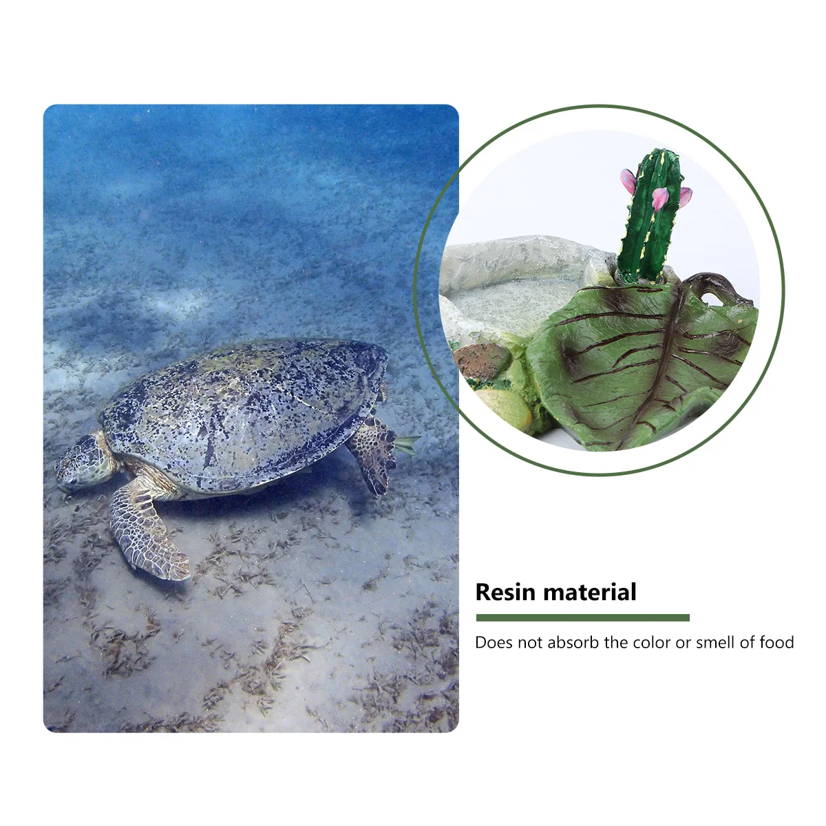 

1Pcs Cactus Design Pet Food Bowl Reptile Drinking Dish Crawler Food Dish Pet Supplies for Reptile Tortoise Water Turtle Lizard S