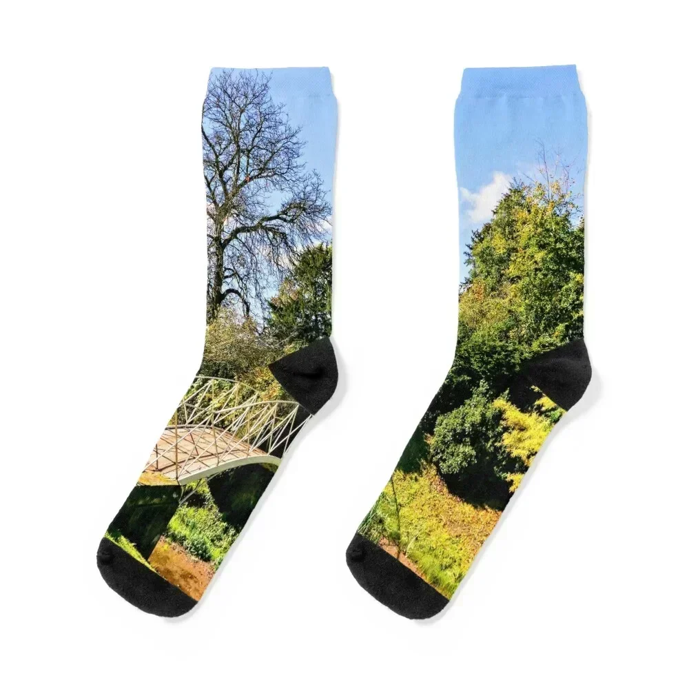 Landscape & Architecture Socks shoes happy winter gifts sheer Socks Ladies Men's anime short kawaii Luxury Woman Socks Men's