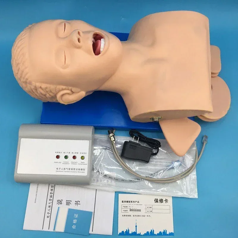 Intubation Manikin Study Teaching Model Airway Management Trainer PVC With Teeth