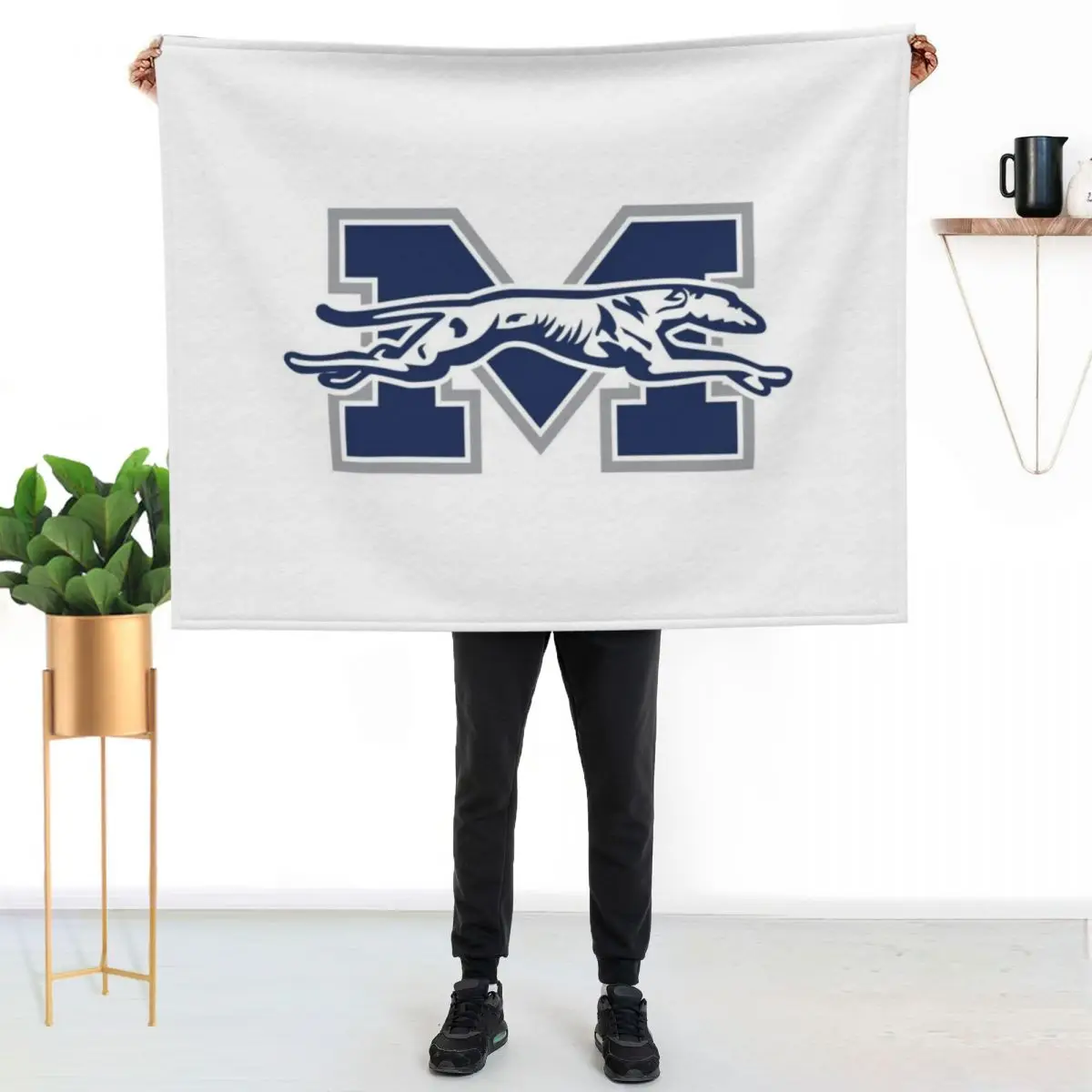 Moravian College greyhounds Throw Blanket Decorative Sofas for sofa Weighted Flannel decorative For Decorative Sofa Blankets