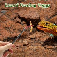 New 27cm Aquarium Feeding Tweezers Stainless Steel Aqaurium Clip Tools Reptile Feeding Tongs Rubber Non-slip Insects Feeder