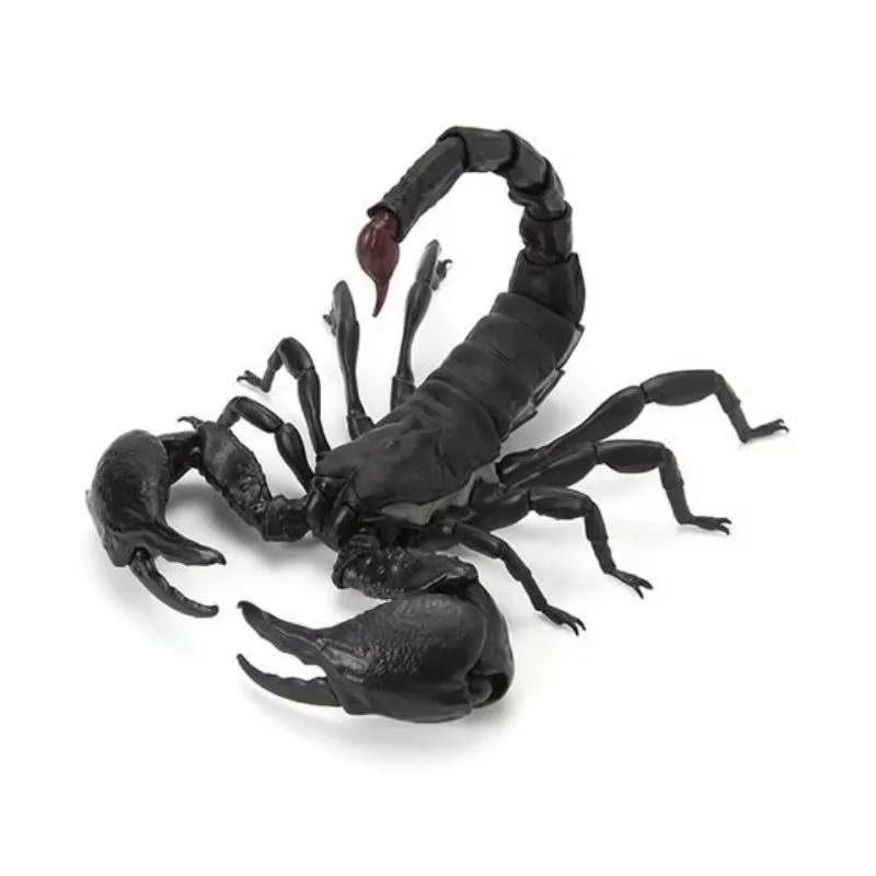 Original Bandai Big Biological Map Desert Scorpion Artificial Insect Gashapon Animal Action Figure Model Toy Gift Collection