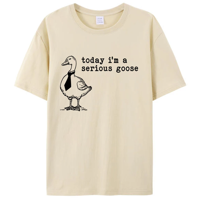 

Today I'm A Serious Goose Men's T-Shirt Funny Humor Casual Hipster Loose Unisex Graphic Tee Shirts Round Neck Tops Blouses Gifts