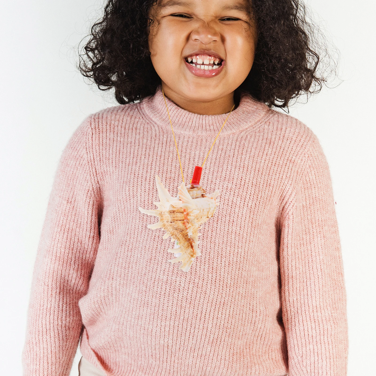 Conch Angle Sea Shells Large Toys for Decorating Big Snail Horn Natural Seashells