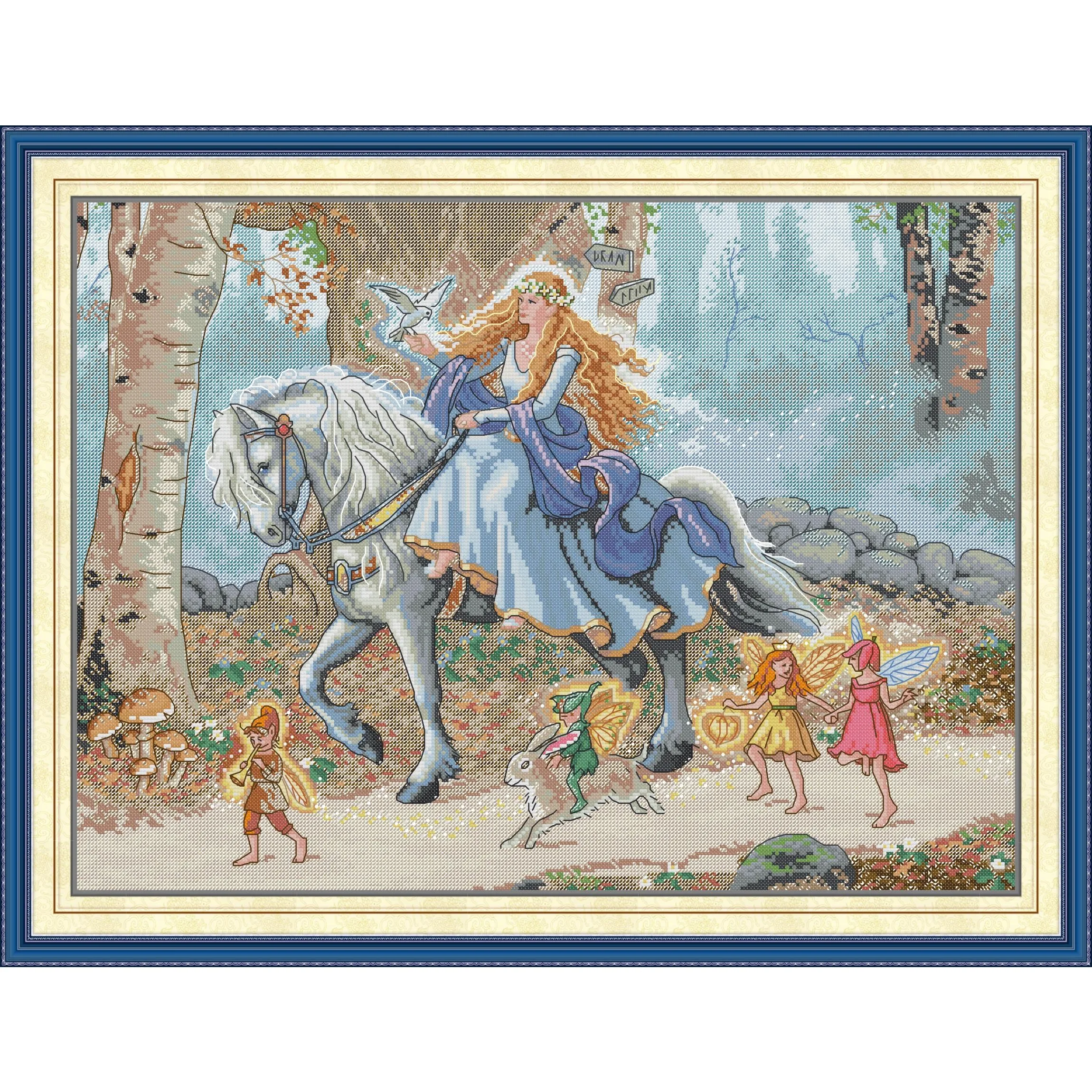 

Soulgift News Pre-Printed Cross Stitch Kit, Stamped Aida Fabric with DMC Threads, Embroidery Kit - Princess Outing