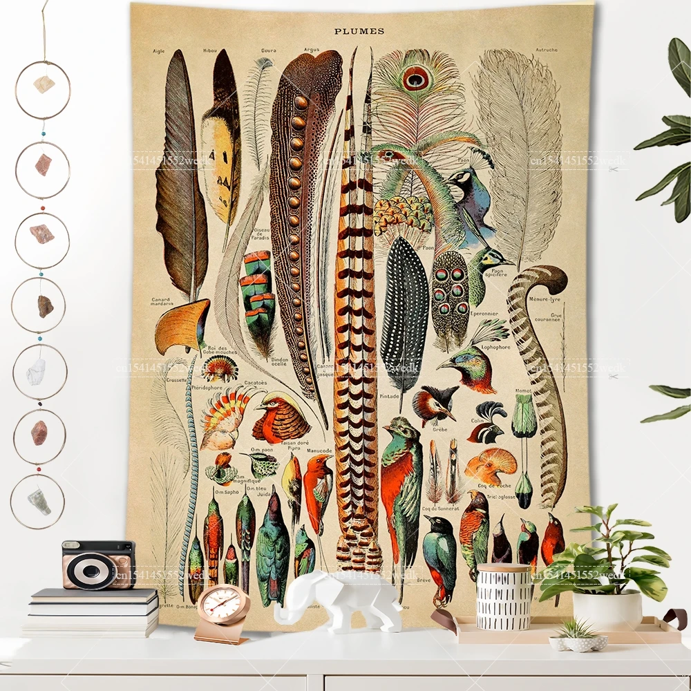 

Feathers Tapestry Botanical French Bird Chart Identification Insect Animals Illustration Tapestrys Room Decor Aesthetic Painting