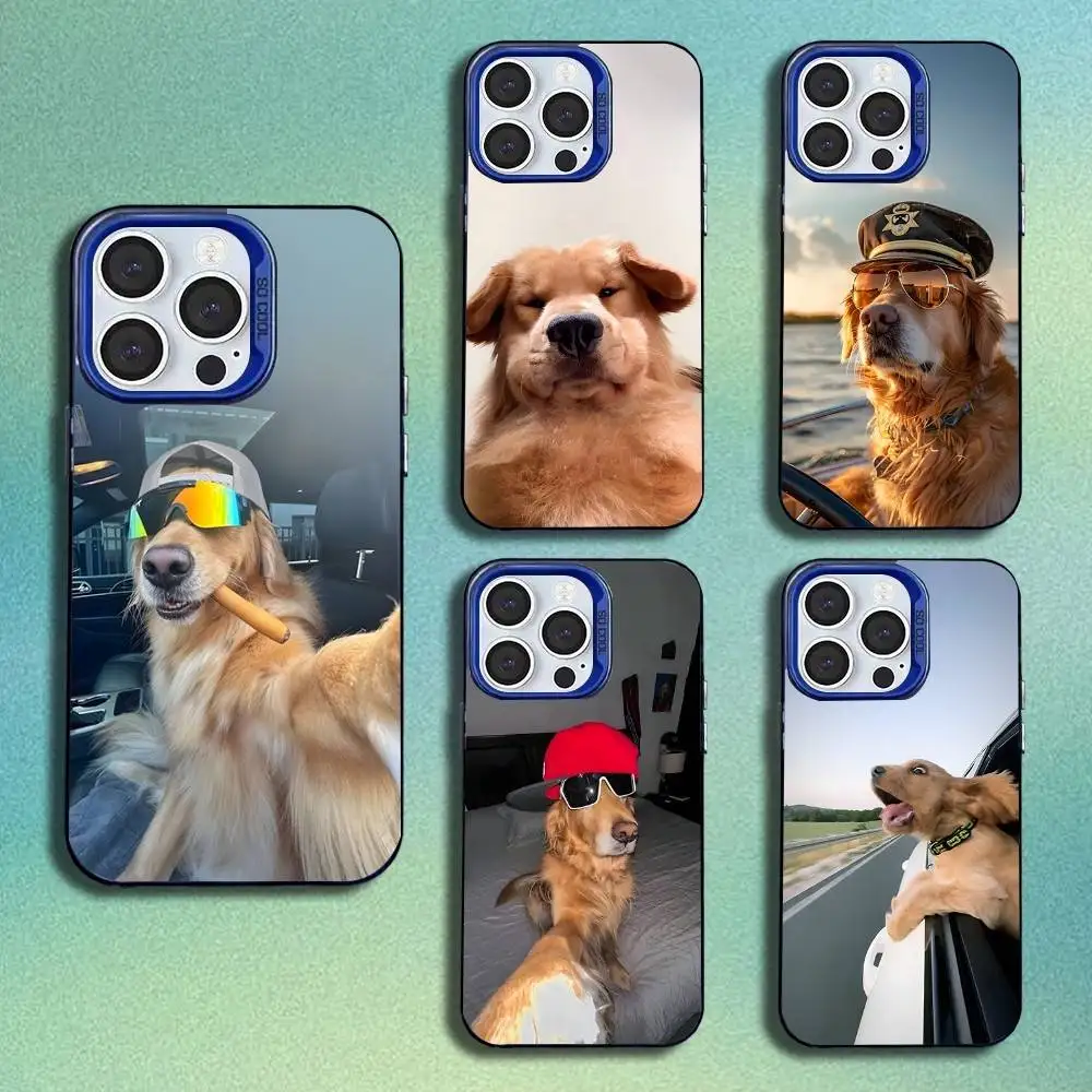 

Funny Golden Retriever Dog Phone Case For iPhone 16,15,14,13,12,11,Mini,Pro,SE,MAX Blue Matte Silicone Cover