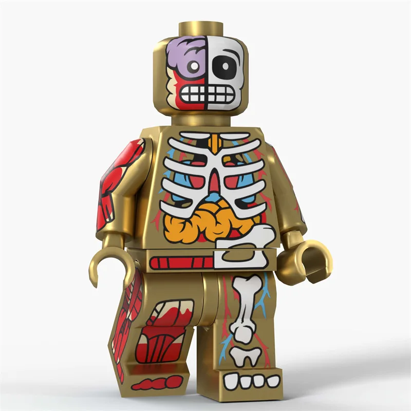 Cartoon Transparent Human Anime Muscle Anatomy Skeletal Bodys Action Figures Building Blocks Toys for Children Gifts