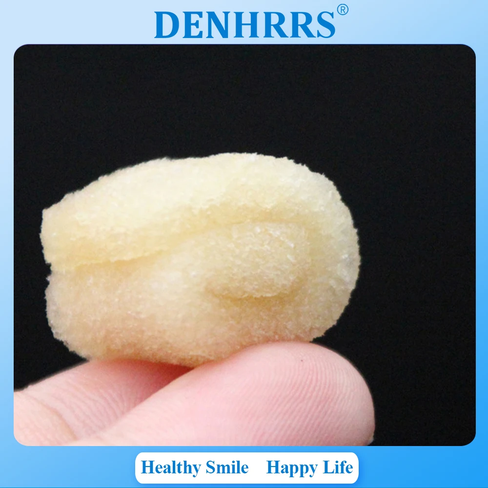 

2Packs Dental Hemostatic Sponge Dental Gauze Sponge Gelatin Wound Hemostatic Sponge Sterilize Gelatin Sponge