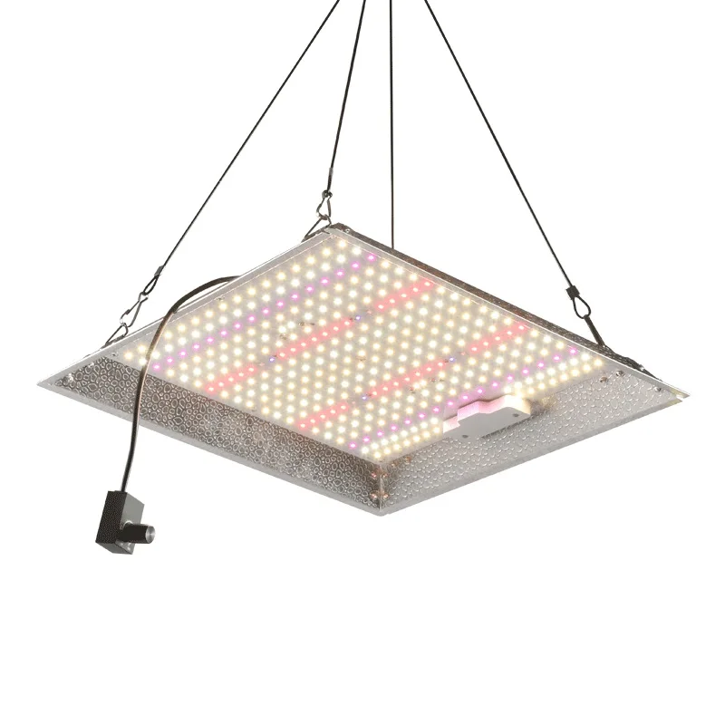 2025 Sheet Metal Cover LED Plant Fill Light Dimmable 100W Rainproof Plant Growth Light Multi-purpose Plant Seeding Light Hot