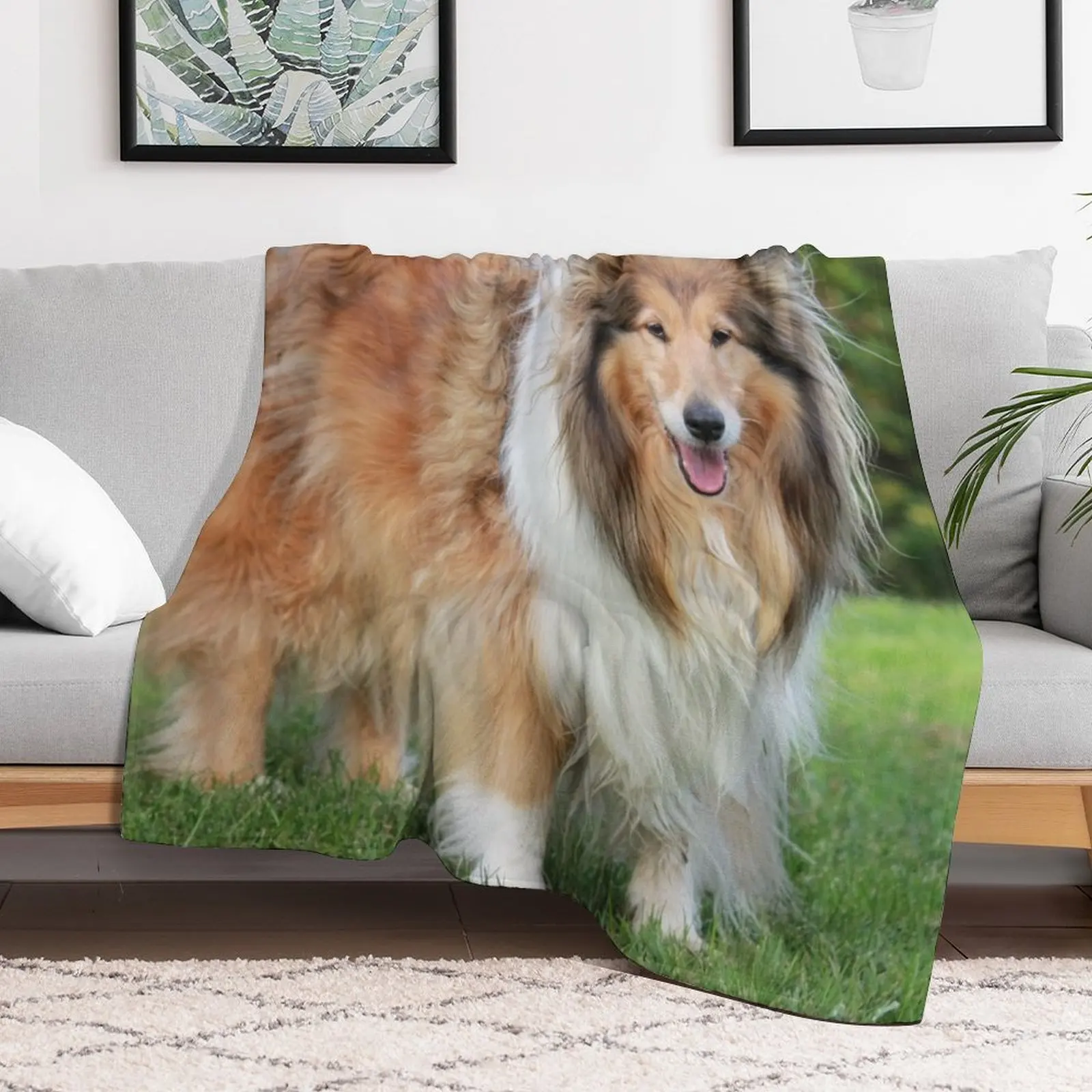 Sable Rough Collie Throw Blanket Bed covers warm winter Blankets