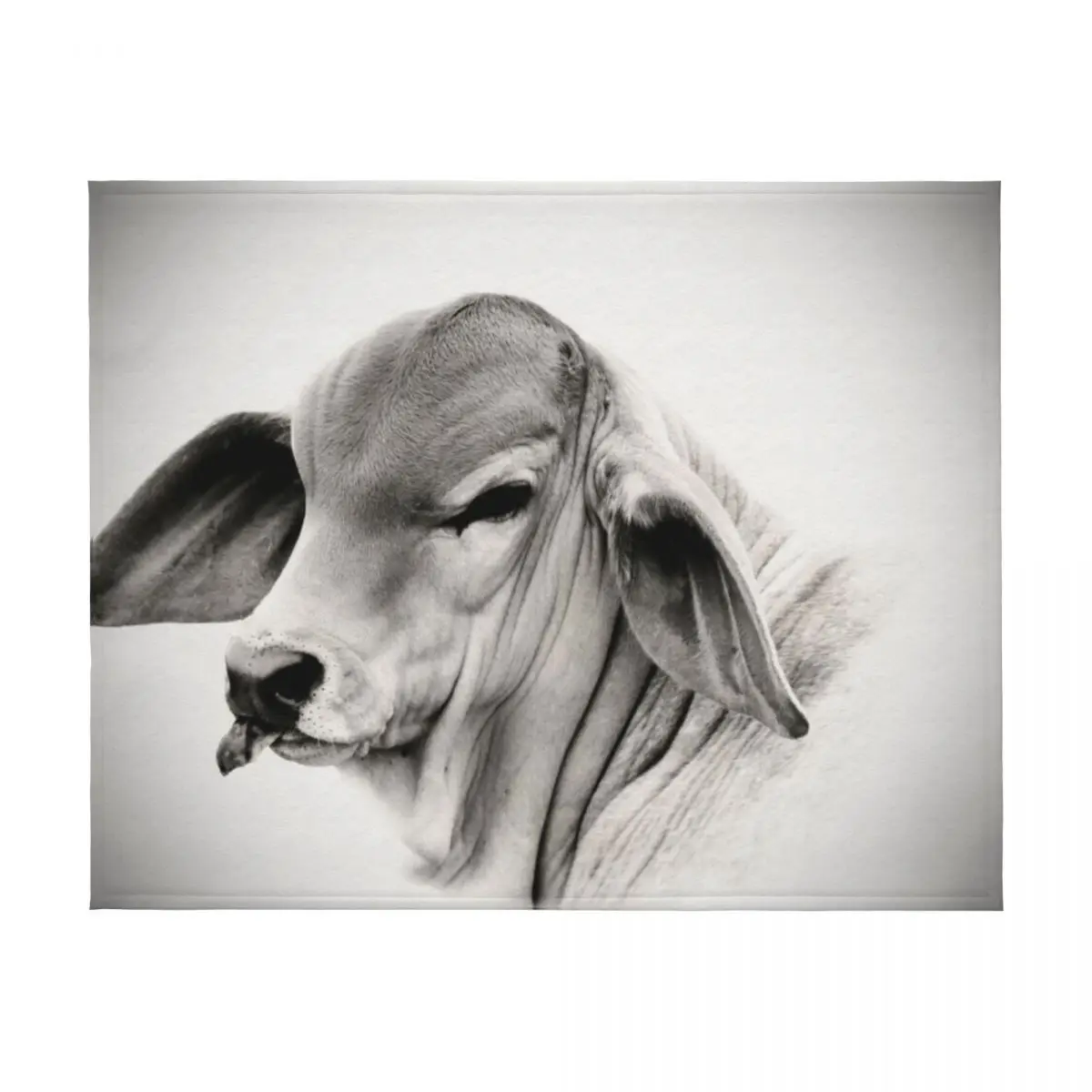 برهمان العجل، صورة، جدار الفن رمي بطانية المرجحة الطفل المعزي المانجا البطانيات