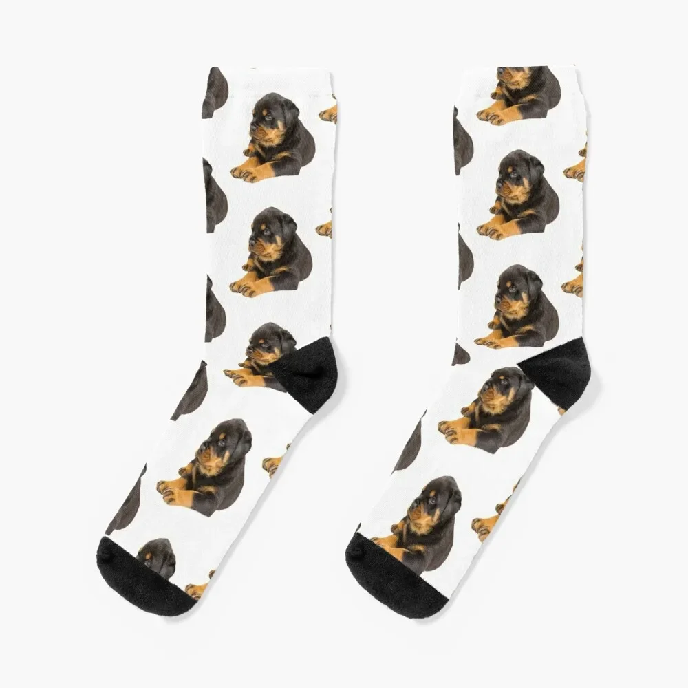 ROTTWEILER DOG TSHIRT Socks hiphop designer Men Socks Women's