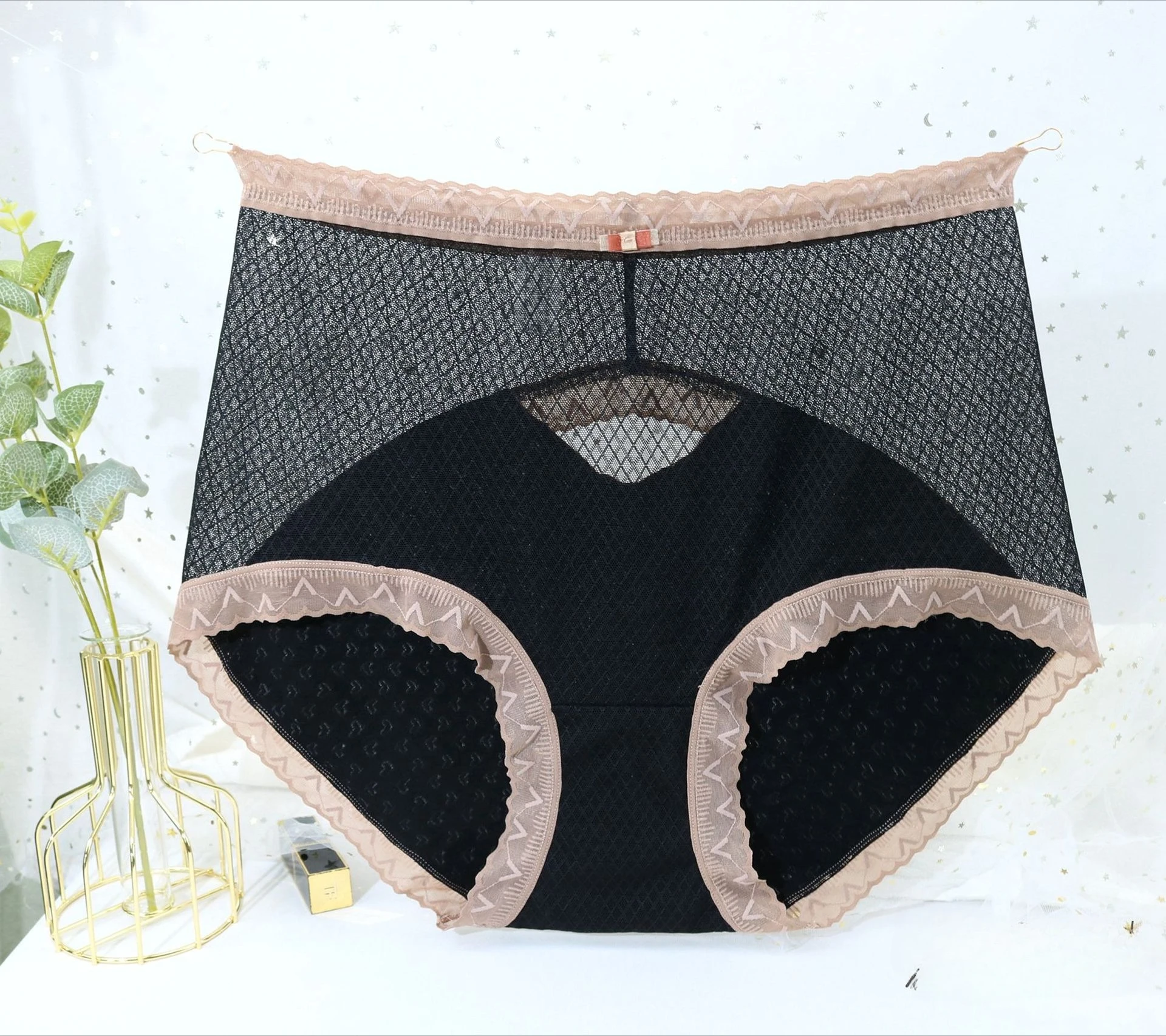 Sheer Mesh Lace Hipster   Ultra Stretch Seamless Panty with Delicate Cutouts   Cotton Lined Hygienic Gusset
