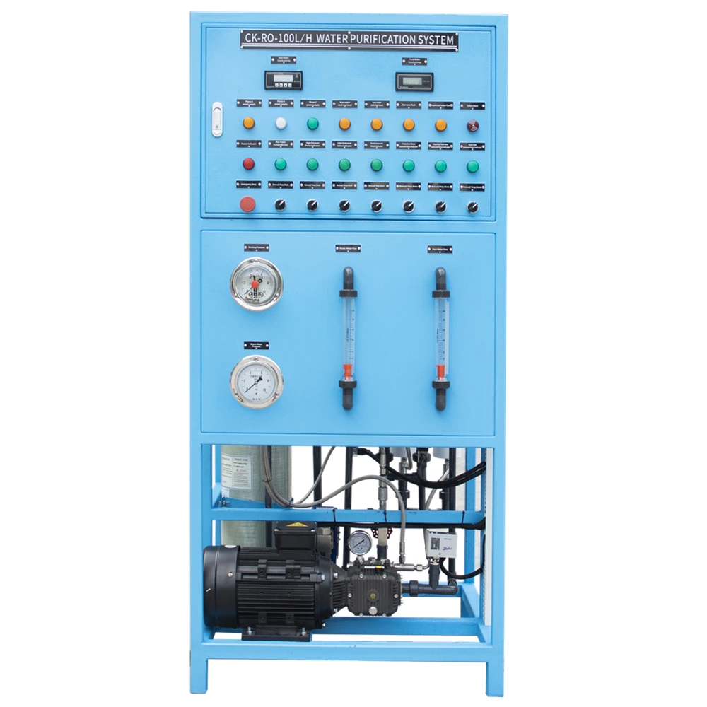 Small Scale Water Treatment 100L/H 600GPD Sea Water Desalination Plant with Pump Reverse Osmosis Purification High Salinity