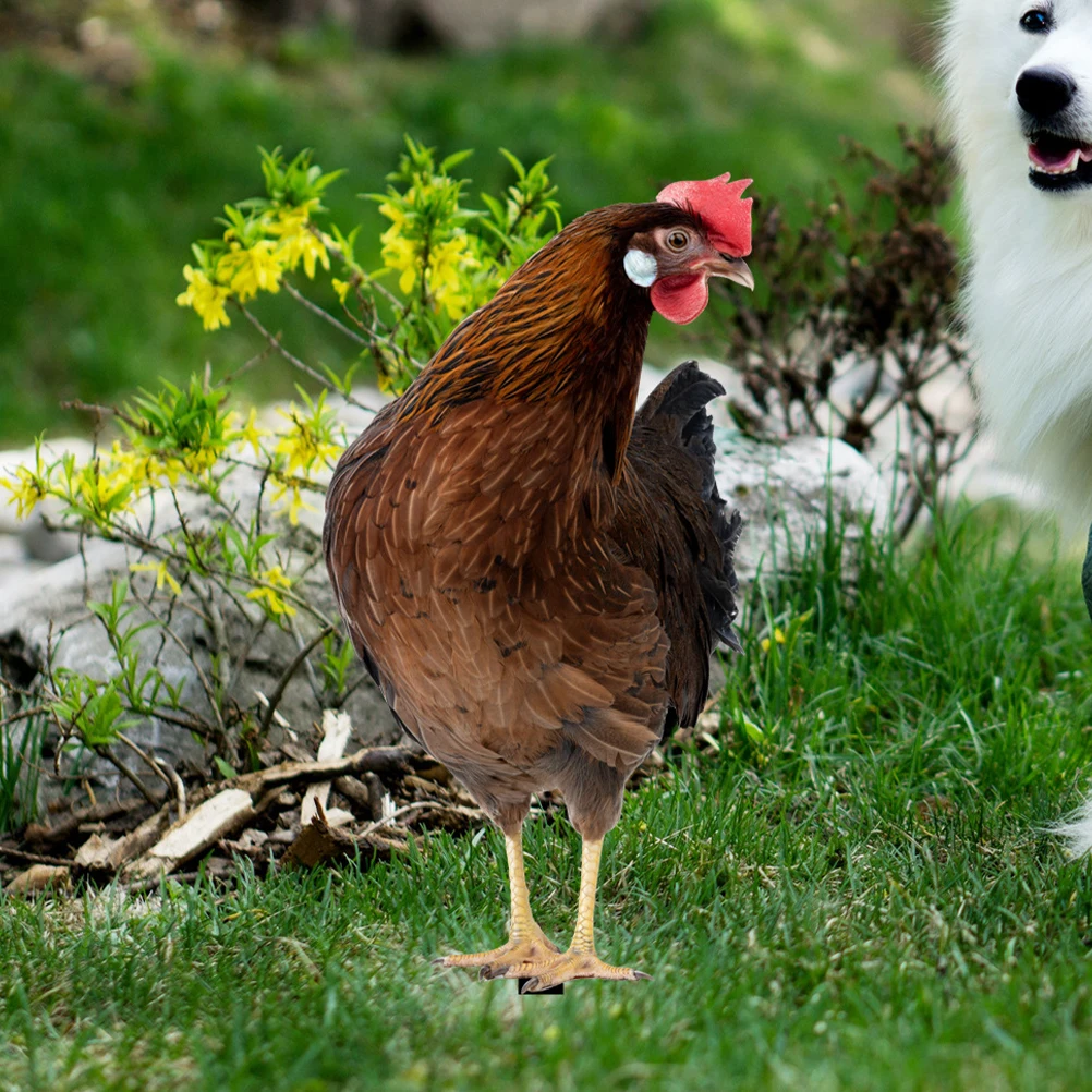 

2pcs Garden Chicken Stake Decor Acrylic Simulation Chicken Insert For Yard Lawn Outdoor Garden Animal Stake Lawn Ornament Yard