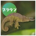 Brown chameleon
