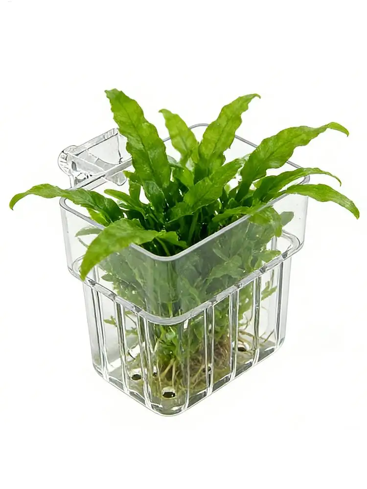 Transparenter Aquarien-Pflanzenhalter, Aquarien-Dekorationstopf, Wasserpflanzenhalter im Knopf-Design, Landschaftsbecher, Fischbecken-Pflanzgefäß – Detail 7