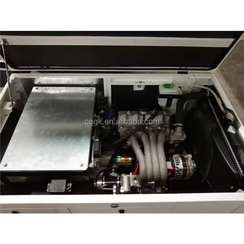 20KW Dual Fuel Silent LPG Liquid Propane NG Natural Gas Generator 25KVA 20KW