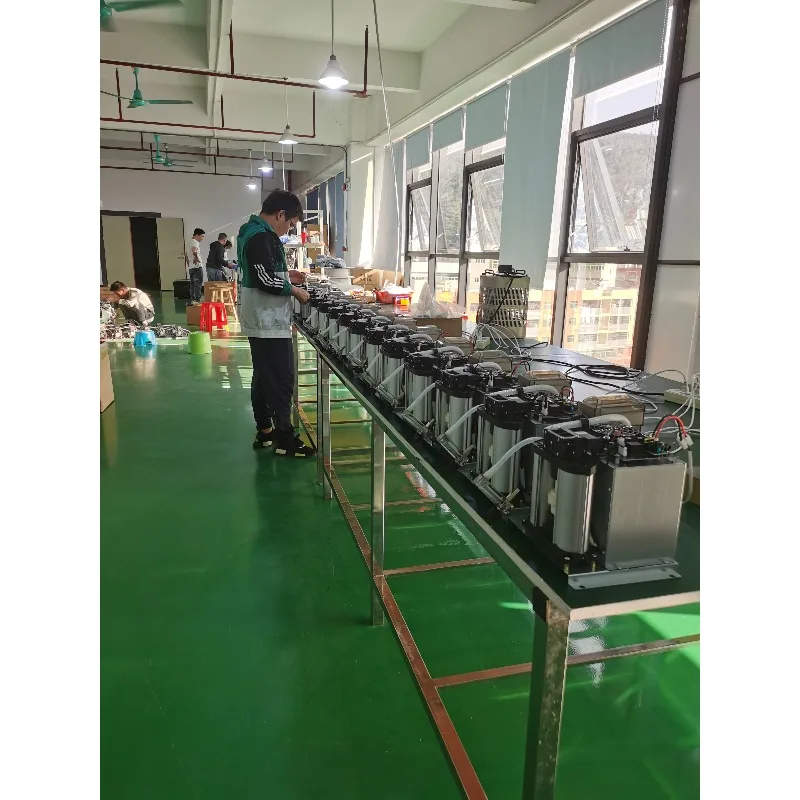 1 LPM Ozone Generator Oxygen Concentrator With Psa High Efficient Molecular Sieve For Ozone Generator