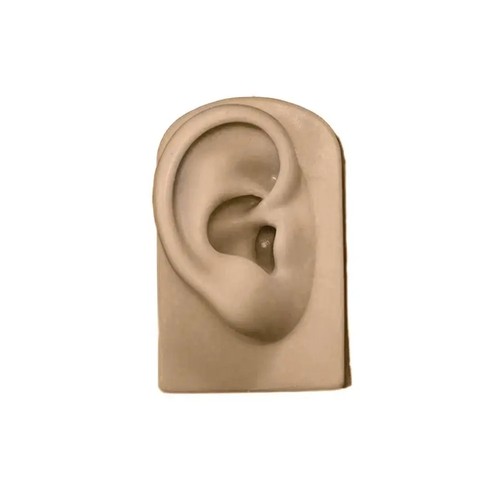

Tattoo Practice for Hearing Teaching Piercing Practice Silicone Ear Model Fake Ear Jewelry Earrings Display Simulation Ear