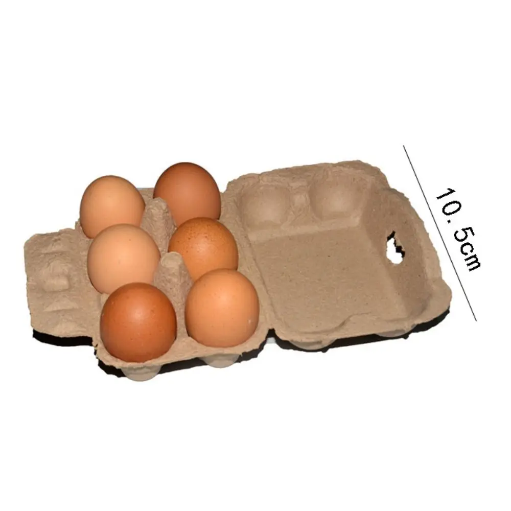 3PCS Egg Holder Cartons Holds Up to 6/12 Eggs 6 Cells 12 Cells Countertop Blank Natural Pulp Egg