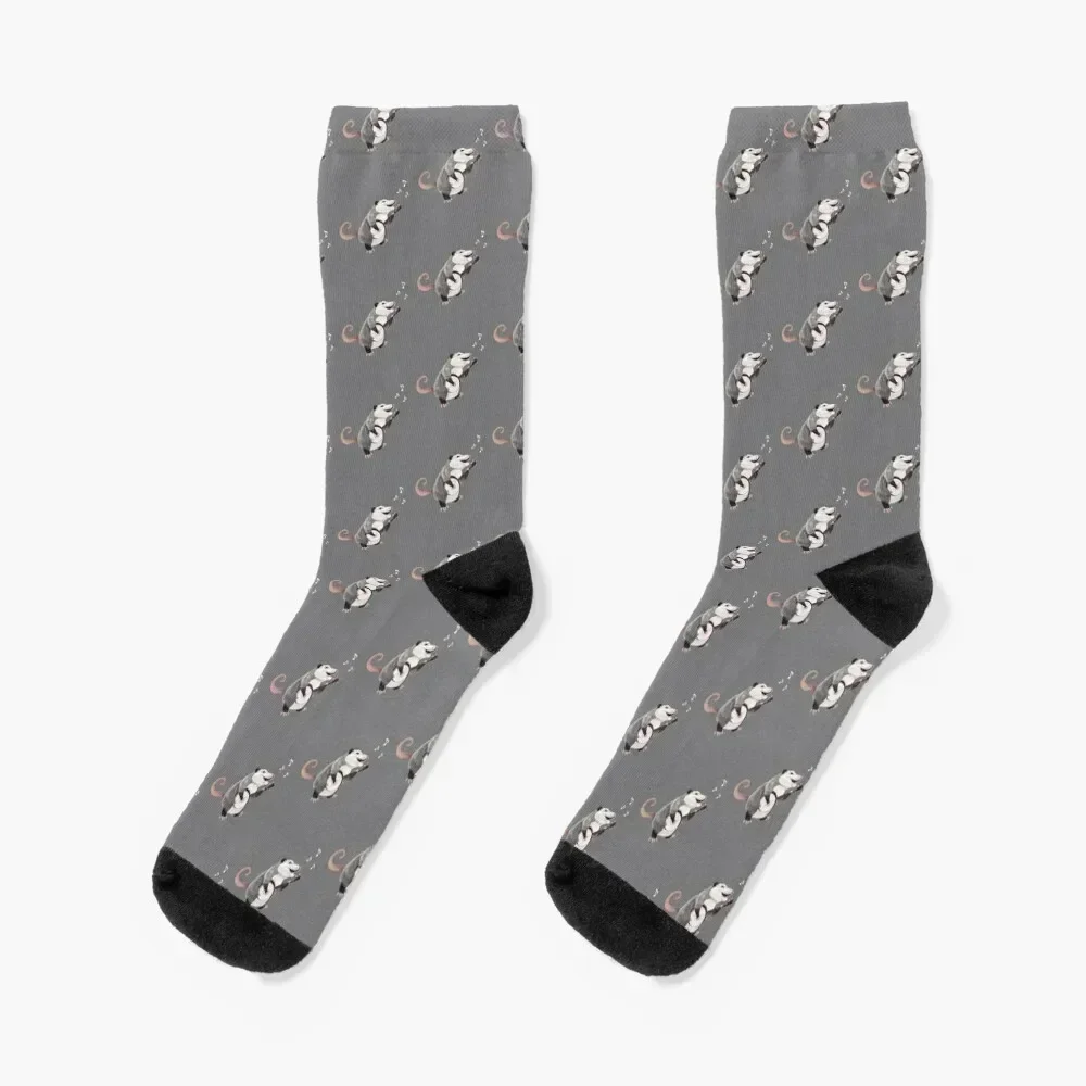 

Singing banjo player opossum musician Socks Heating sock sheer Antiskid soccer christmas gift Women's Socks Men's