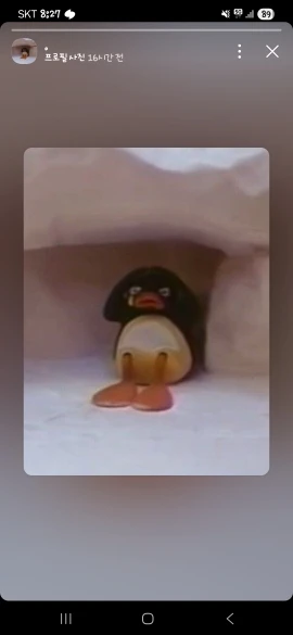 실물 포토 리뷰