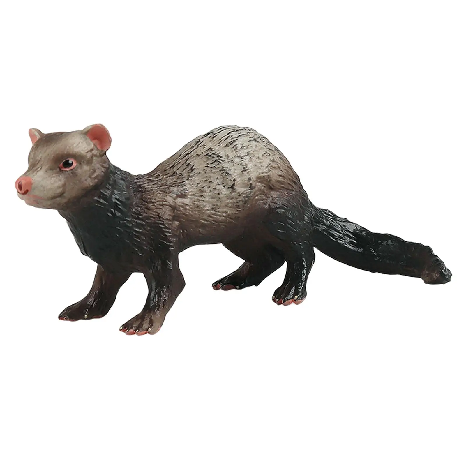 Figurines de simulation de furet d'Auckland, modèle animal, jouet d'apprentissage, ensemble de jeu créatif, cadeaux d'anniversaire