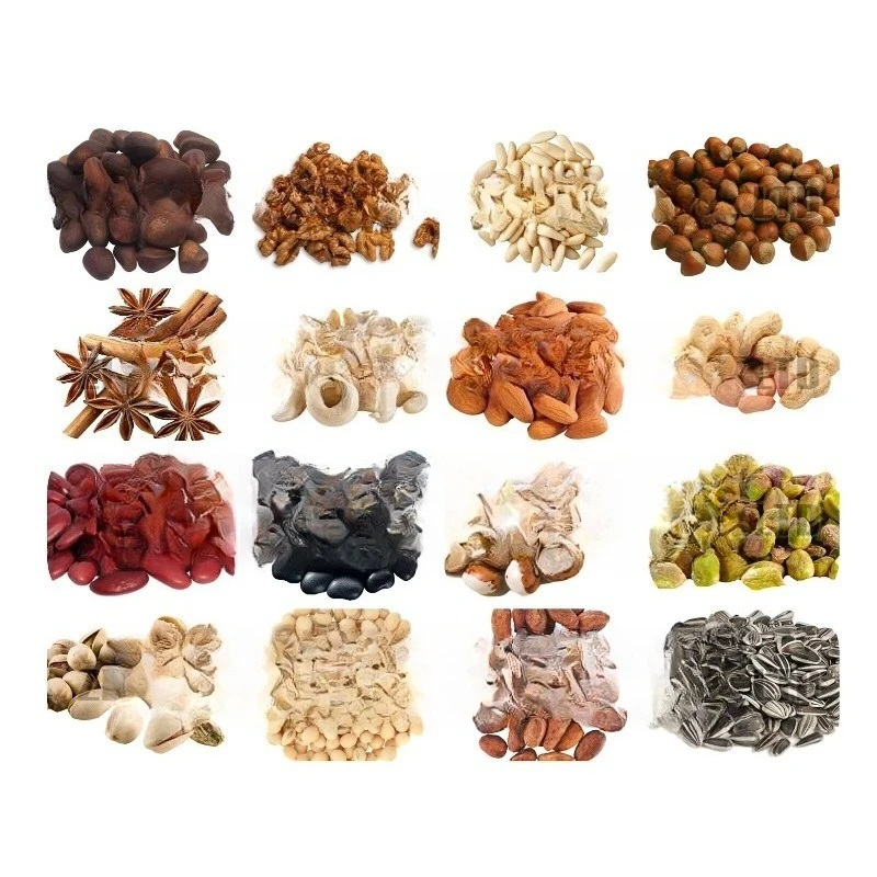 Grains Seeds Processing Grader Sunflower Sesame Seed Cocoa Bean Cleaning and Sorting Machine
