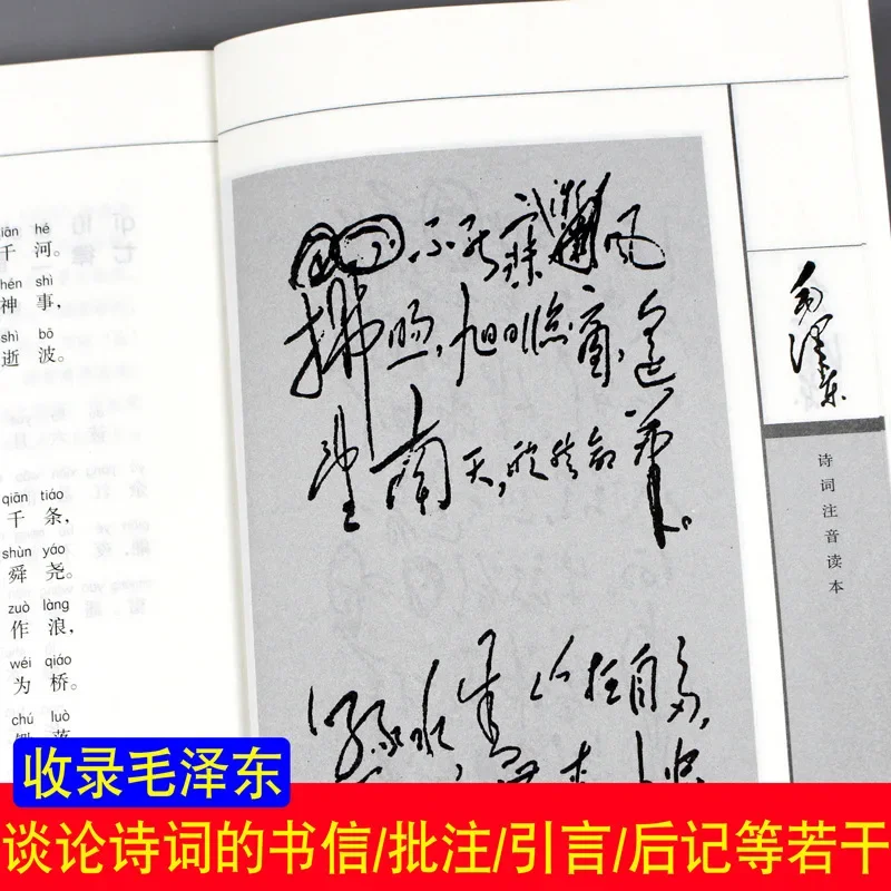 Mao Zedong Poetry Phonetic Reader Collection Edition 152 Gedichte (insgesamt 2 Bände) Buch über chinesische Kultur und Geschichte