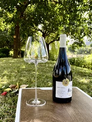650ml/800ml Very Thin Red Wine Glass Cup High-end Bordeaux Burgundy Champagne Glass White Wine Glass Cup Camping Wine Glass