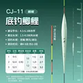 B11