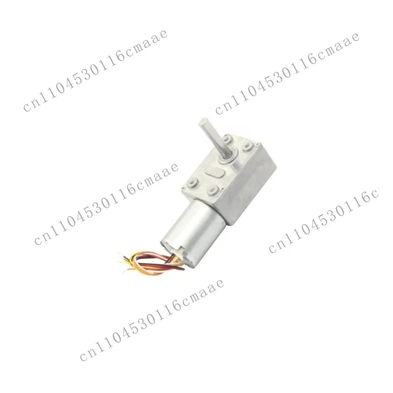 4632-2430 Brushless DC Turboworm Micro Reduction Motor Speed Regulation 12v24v Speed Regulation Gear Motor