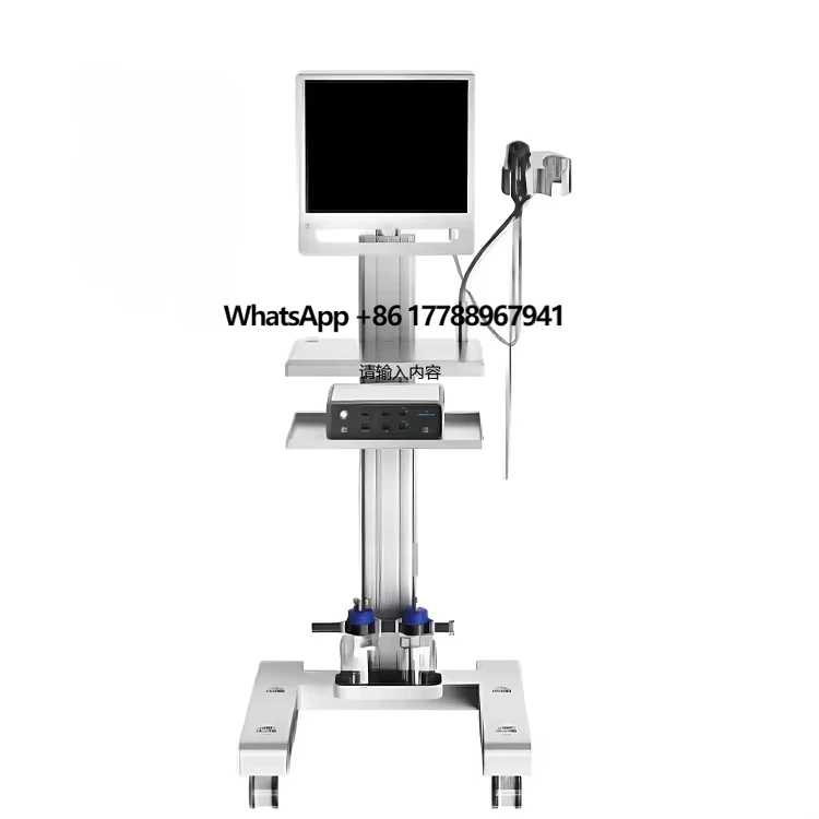 

Customized Veterinary Endoscope Gastrointestinal Endoscopy Pet Animal Hospital Endoscopic 4k Endoscopic Image System