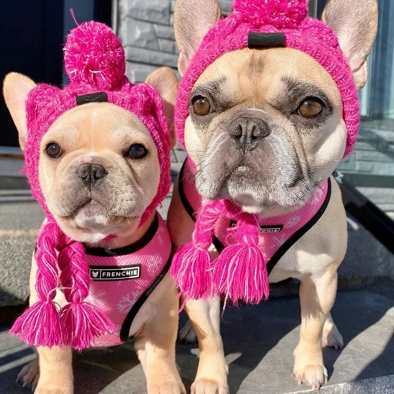 Winter Warm Dog Hats Windproof Knitting French Bulldog Hat For Dogs Chihuahua Hat Fluffy Ball Pet Hat Puppy Accessories