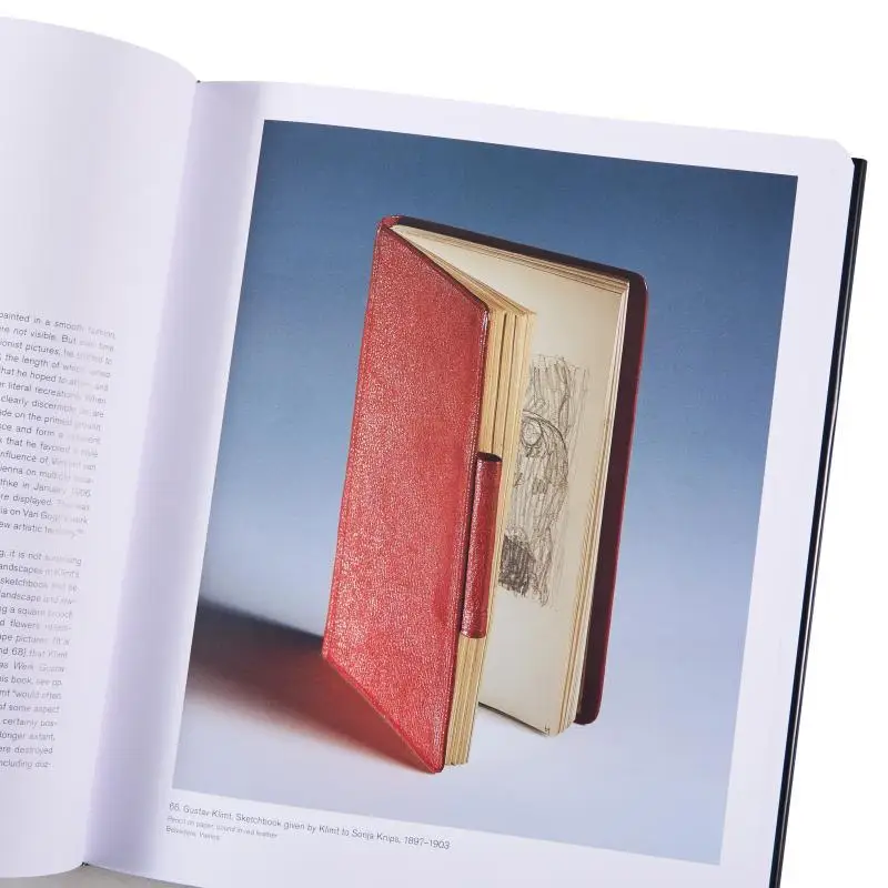 Klimt Landscapes Janis Staggs Prestel Publishing 9783791377360 Book