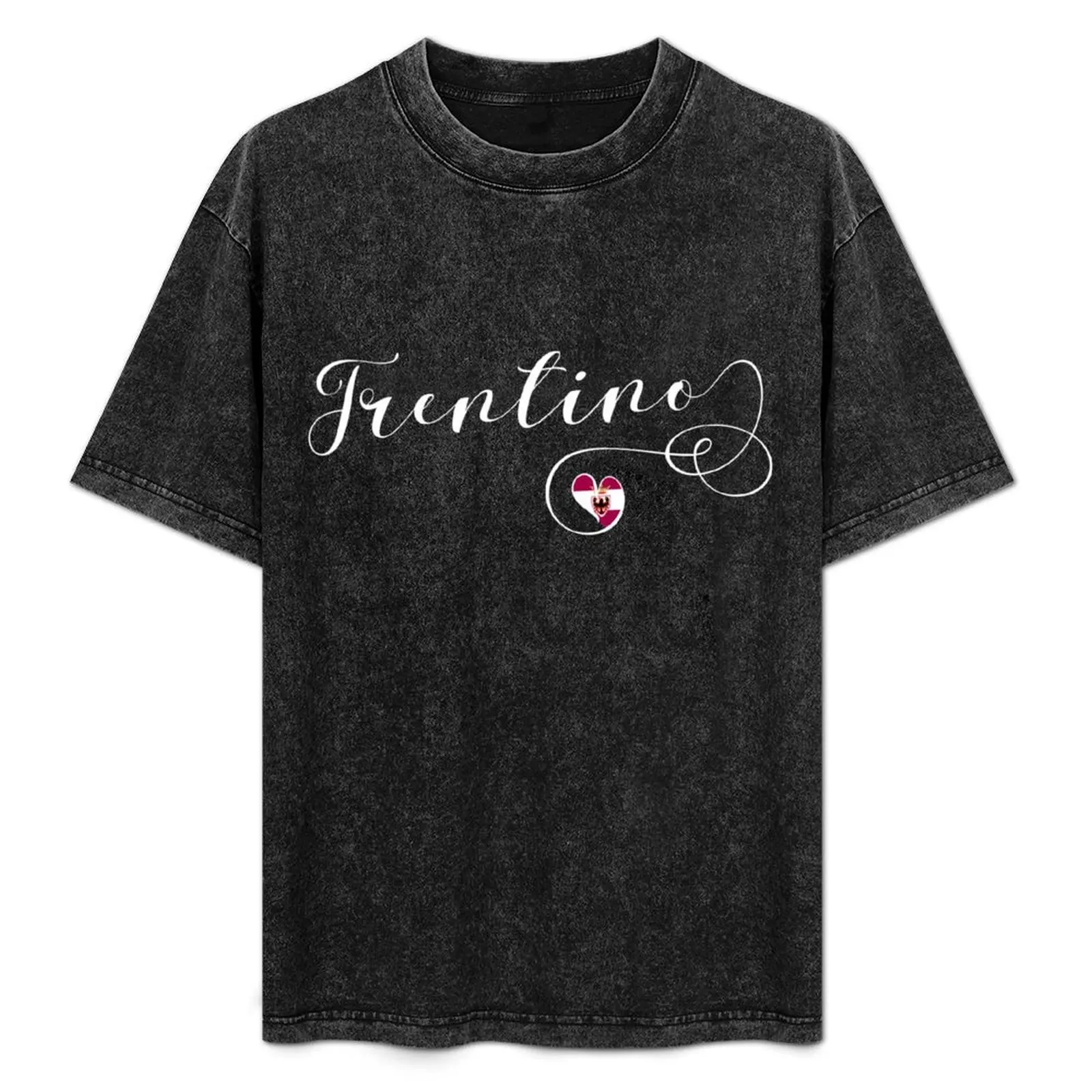 Camiseta con bandera de Trentino, provincia de Trento, Italia, camiseta informal sencilla y moderna