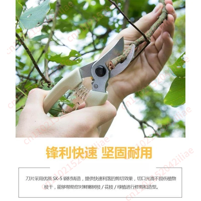 Pruning shears Garden shears Garden tools Household branch shears
