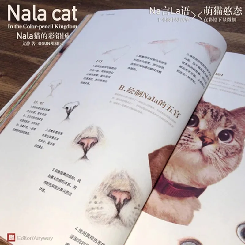 Nala Cat Colored Lead Sketch Painting Tutorial Book
