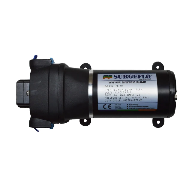 

24V DC Portable Water Pump, Permanent Magnet Low Pressure for Garden Irrigation and General Water Transfer