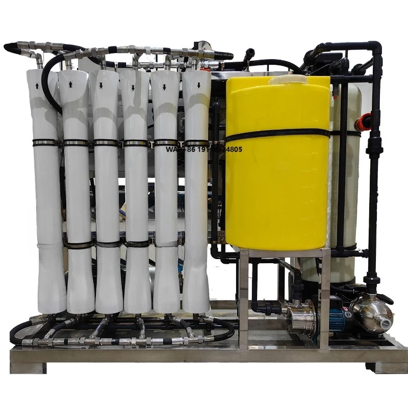 

Tuoqi 1 T/H Seawater Desalination Reverse Osmosis Machine with PLC Control 10 kW Pump 380V