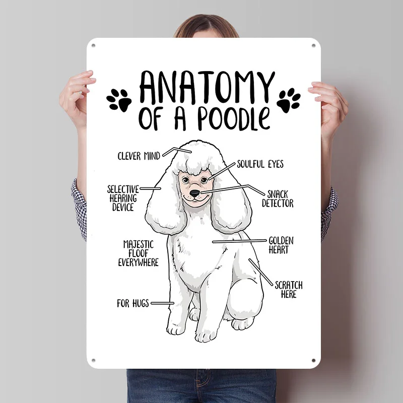 Anatomy of a Poodle Printing Poster Customized Retro Wall Art Vintage Metal Signs for Mancave Modern Home Decoration Luxury Room