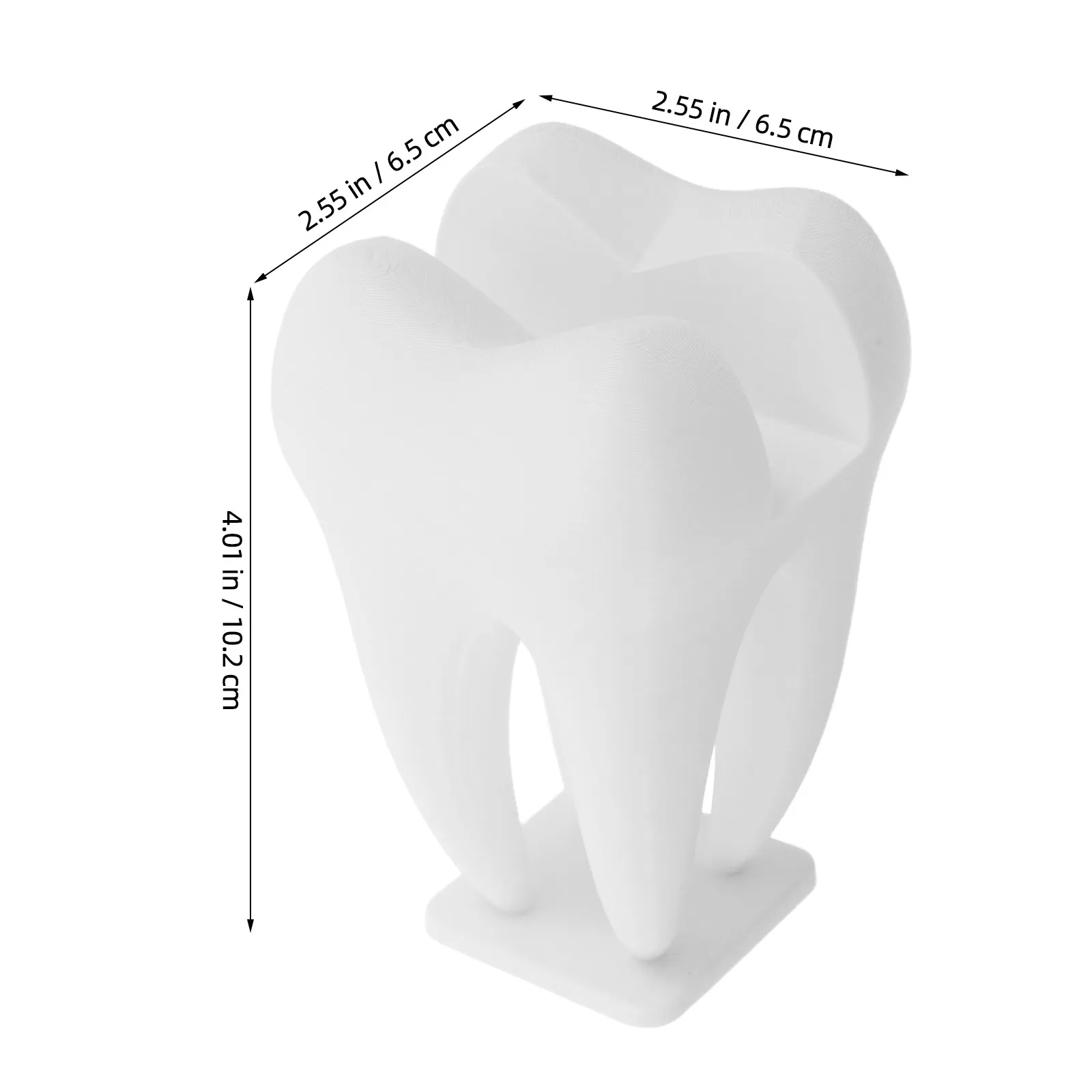 2Pcs Dentist Business Card Holder Tooth Shaped Decorative Minimalist Desk Organizer Reception Clinic Front Desk Supplies