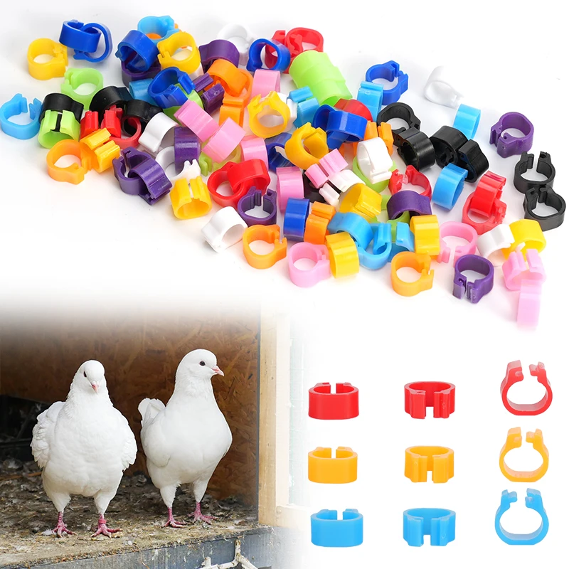 100 Pcs Pigeons Rings 8mm Bayonet Identification Ring Opening Pigeon Ring Color Pigeon Foot Ring Pigeon Supplies Bird Appliances