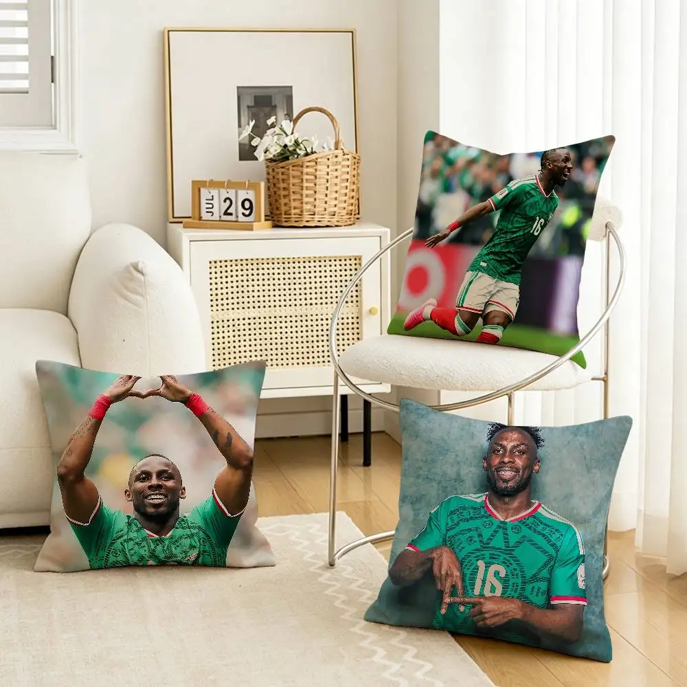 

2026 La Pantera 16 J-Julian Quinones Multi-Size Printed Pillow Covers Home Decoration