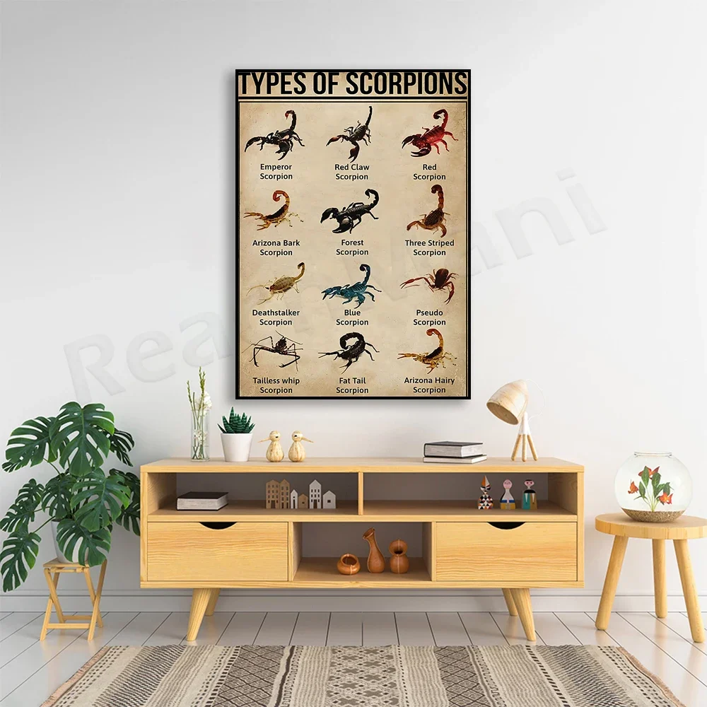 Scorpion Poster Type, Scorpion Lover Gift, Scorpion Art Print, Vintage Knowledge Poster, Educational Wall Decor