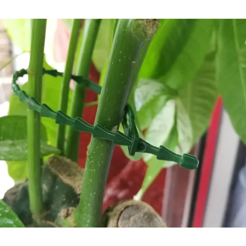 

Plastic Plant Support Clips Clamps For Hanging Vine Plants, Garden, Greenhouse, Vegetables, Tomatoes, 23cm, 30pcs Reusable