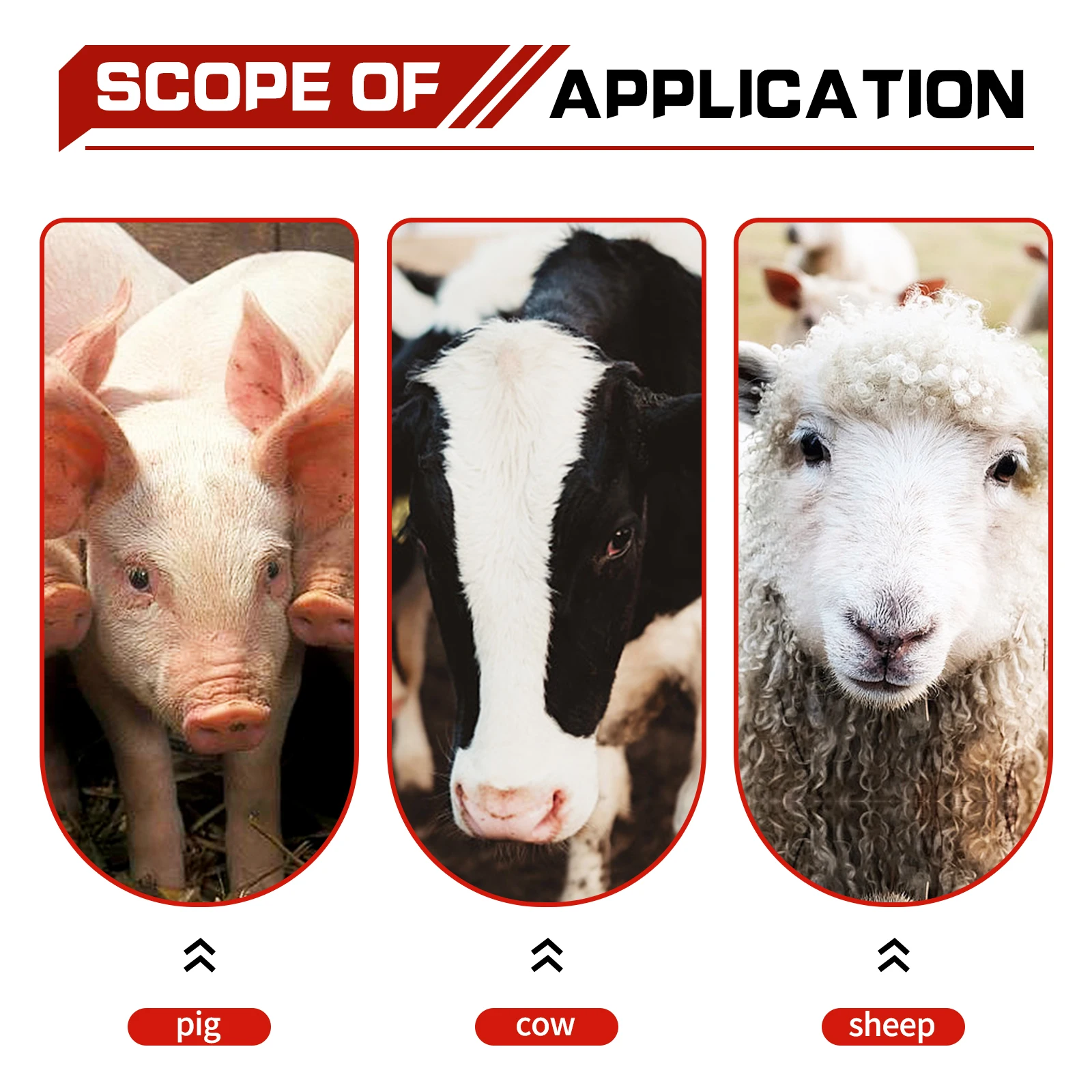 Kalb Milch Feeder Flasche mit Nippel Schaf Milch Flasche Halter Melken Fütterung Ersatz Trinker Vieh Füttern Werkzeuge kalb