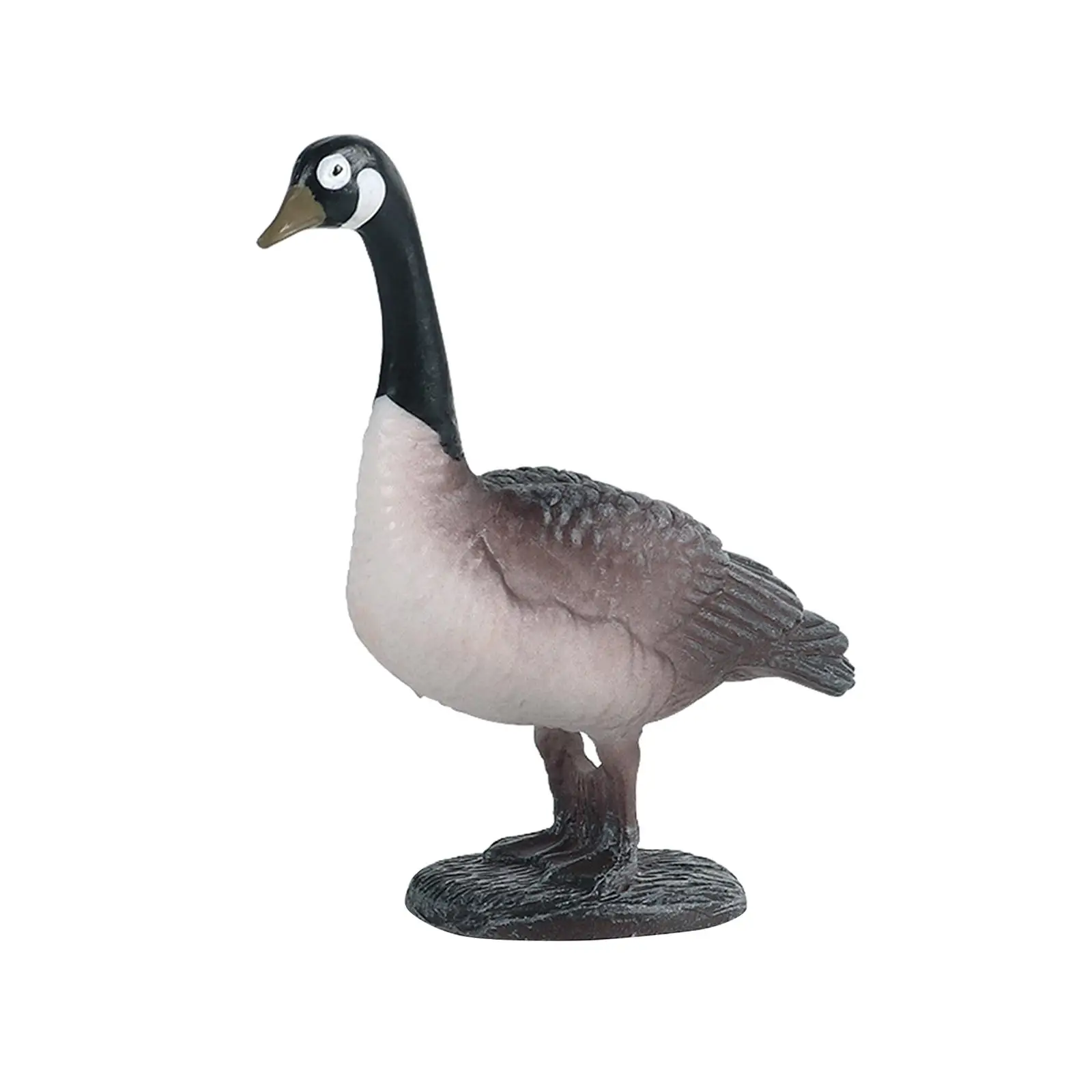 Miniature Animals Birds Model Figurine Statue Scuplture Toy , Black,